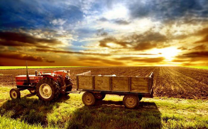 Traktorfahrer der landwirtschaftlichen Produktion